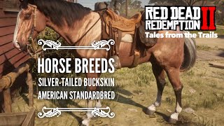 Red Dead Redemption 2 Horse Breeds Silver Tail Buckskin American Standardbred [upl. by Amek]