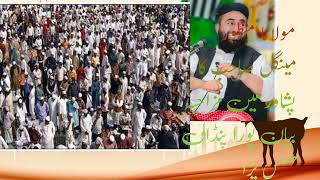 Molana manzor mangel Sab Peshawar funny bayan mangel Sab ka mazhia bayan [upl. by Trinatte377]