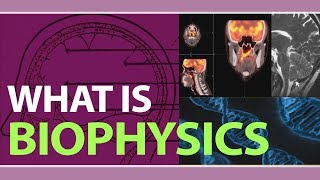 What is Biophysics  Applications of Biophysics  Examples of Biophysics  Physics Concepts [upl. by Akihsar]