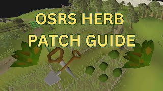 Ultimate Herb Farming Run Guide 2024 OSRS [upl. by Llenol252]