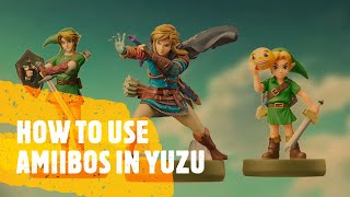 How to use Amiibos in Yuzu [upl. by Aneetsirk72]