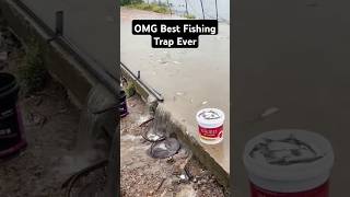 OMG best fishing trap ever fishinglife fishtank fisherman fishvideo river aquarium catfish [upl. by Eibloc]