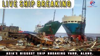 LIVE SHIP SCRAPPING  Alang Ship Breaking Yard  Alang Port Official [upl. by Xino]