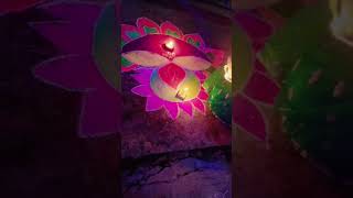 We Celebrated Diwali At Home With An Epic Dance Party [upl. by Suivatra]