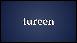 Tureen Meaning [upl. by Netsew835]