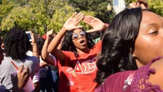 Delta Sigma Theta JSU Homecoming 2016 [upl. by Anima712]