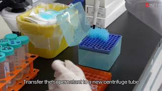 Laboratory Case Sharing DNA Extraction Using CTAB Method [upl. by Oirromed686]