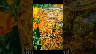 Calendula Infused Oil From garden to bottle healthygarden gardening calendula organicliving [upl. by Aisitel224]