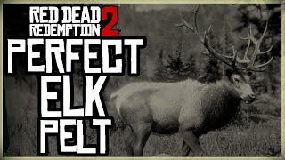 HOW TO GET A PERFECT ELK PELT  RED DEAD REDEMPTION 2 PRISTINE ELK HUNT 3 STARS [upl. by Elpmet]