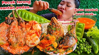 KALAU SUDAH NAMBAH PASTI ENAK 🤤‼️PECAK TERONG SANTAN PEDAS  ASAM PEDAS TUNA KEMANGI [upl. by Desta65]