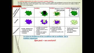 photosynthèse partie 1 er bac sciences expérimentales biof [upl. by Hgielrak890]