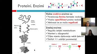 Enzimologija Amilaza [upl. by Eimia]