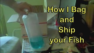 How I Ship Your Fish [upl. by Dovev]