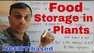 Food Storage in plants [upl. by Kiele]