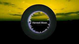 Blaise  Harvest Moon Neil Young [upl. by Alleoj]