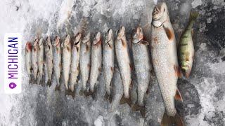 TROUT amp SPLAKE ICE FISHING 2019 Michigan [upl. by Lesig132]