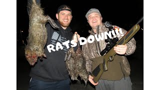 NUTRIA RAT HUNTING with the GAMO Bull Whisper BONE COLLECTOR PELLET GUN [upl. by Leseil286]