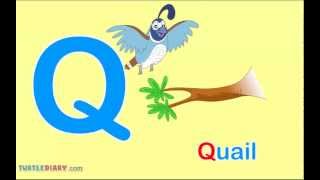 What Words Start With Letter Q Words For Toddlers [upl. by Savart]