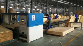 plywood manufacturing process [upl. by Adnaw9]