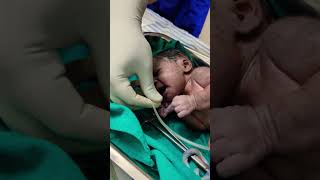 Born baby 😊 cutebaby babygirlnation baby babygirlsong song music cute hindisong bollywood [upl. by Hsevahb]