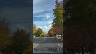 Issaquah autumn vibes 10202024 🍂🎃💯🤙🏾 issaquah washington roadtrip [upl. by Madelon403]