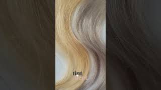 Wella T18 Lightest Ash Blonde Toner Before and After  how to remove yellow brassy tones at home [upl. by Norek669]