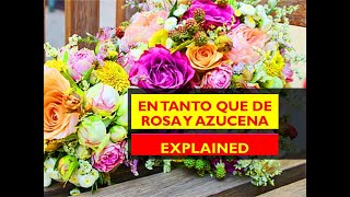 En tanto que de roza y azucena Explained [upl. by Oiramrej]