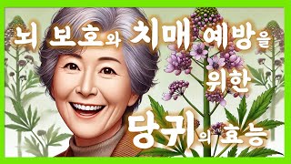 뇌보호치매예방  당귀의 효능 [upl. by Zaccaria41]