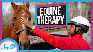 Equine Therapy Why Horses Might Make Great Therapy Animals [upl. by Etnohc59]