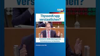 ThyssenKrupp verstaatlichen afd ltnrw [upl. by Jat]