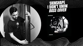 Skinshape  I didnt know Bass Cover StaggEDBBass [upl. by Ajed]