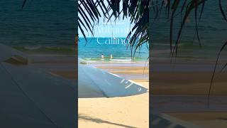 Pandanus Resort Mui Ne Phan Thiet  Autumn Calling [upl. by Euqcaj]