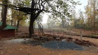 SIMLIPAL FOREST  ODISHA [upl. by Stimson476]