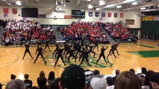 Faribault Dance Team 20142015 High Kick [upl. by Elleiad810]