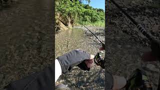 Stream Fishing streamfishing lure lurefishing fishingvideo gofishing cauca fishingtechniques [upl. by Venola]