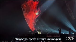 Dimash Kudaibergen Любовь уставших лебедей Stranger tour AstanaArena 13092024 [upl. by Enyalb]