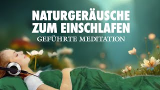 Einschlafen mit Naturgeräuschen  Geführte Meditation zum Einschlafen [upl. by Eiraminot450]