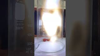 grape in a 20000 watt microwave science experiment [upl. by Yrehcaz938]