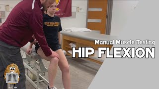 MMT Hip Flexion Manual Muscle Test [upl. by Kiryt843]