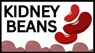 6 Health Benefits of Kidney Beans [upl. by Ellehsal419]