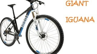 GIANT IGUANA MOUNTAIN BIKE  OVERVIEW AND DETAILS  BRAKES WHEELS [upl. by Buzz920]