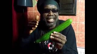 Cucumba Jamaican Cucumber Rap  Macka B Viral Video EKMCO [upl. by Llemor966]