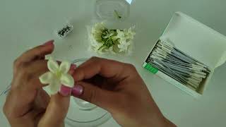 How to add stems to fresh Stephanotis blooms for bouquets [upl. by Cariotta]