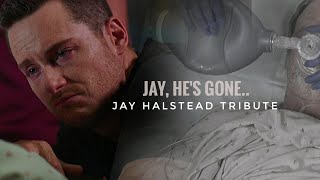 Jay Halstead Tribute 2  quotJay hes gonequot feat Will and Pat Halstead Chicago PD [upl. by Cleve]