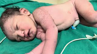 Newborn baby day12newborn mini vlog baby video [upl. by Notac]