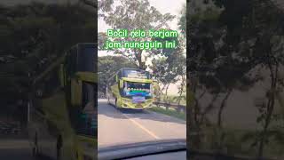 Basuri  Telolet bismania bismaniacommunity [upl. by Ellehsal382]