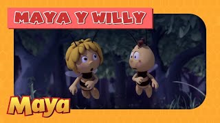 La Abeja Maya 🐝🌼 Maya y Willy 🐝 ¿Qué ha sido eso [upl. by Ardnuasak]