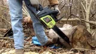 Poulan woodshark cutting wood [upl. by Daven]