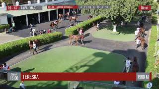 Live Hippodrome « CASABLANCA »  Courses du « 01112024 » [upl. by Frech]