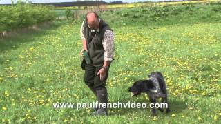 HPR Gundog Tips Part 1  Retrieving across a ditch with Rory Major [upl. by Ysirhc828]